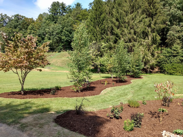 Newly laid mulch in a front yard