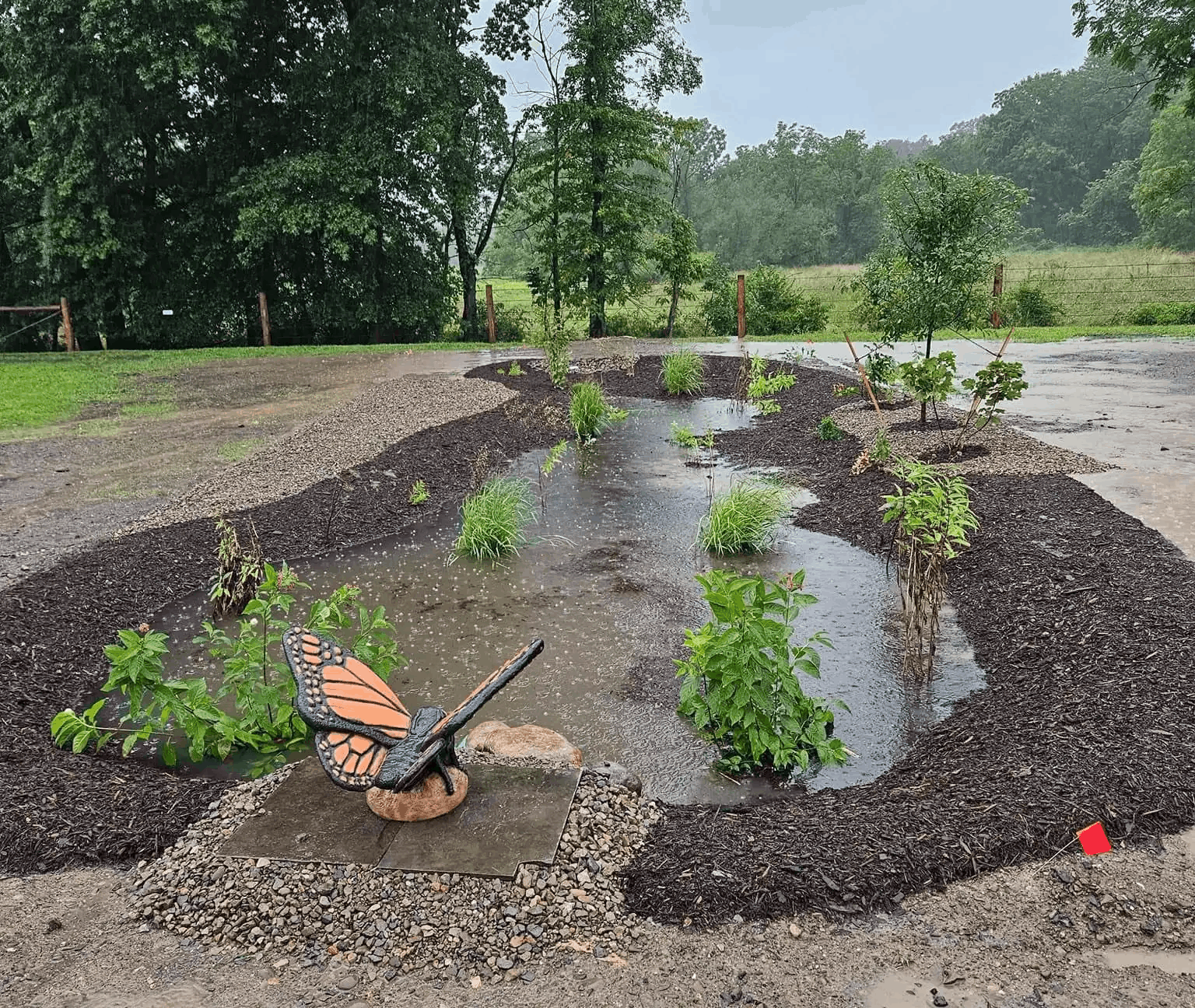 conservation landscape services block image showing a rain garden