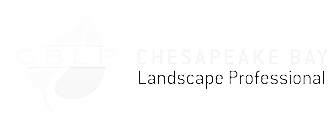 CBLP2 1