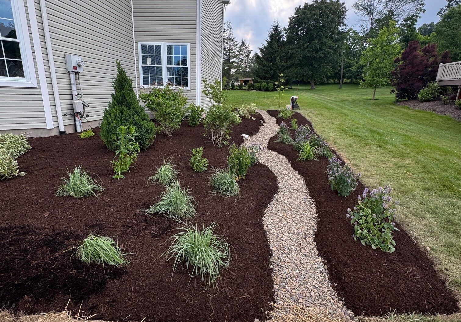 Landscape Swails Examples Lawn Conversion - Native Creations Landscape Services
